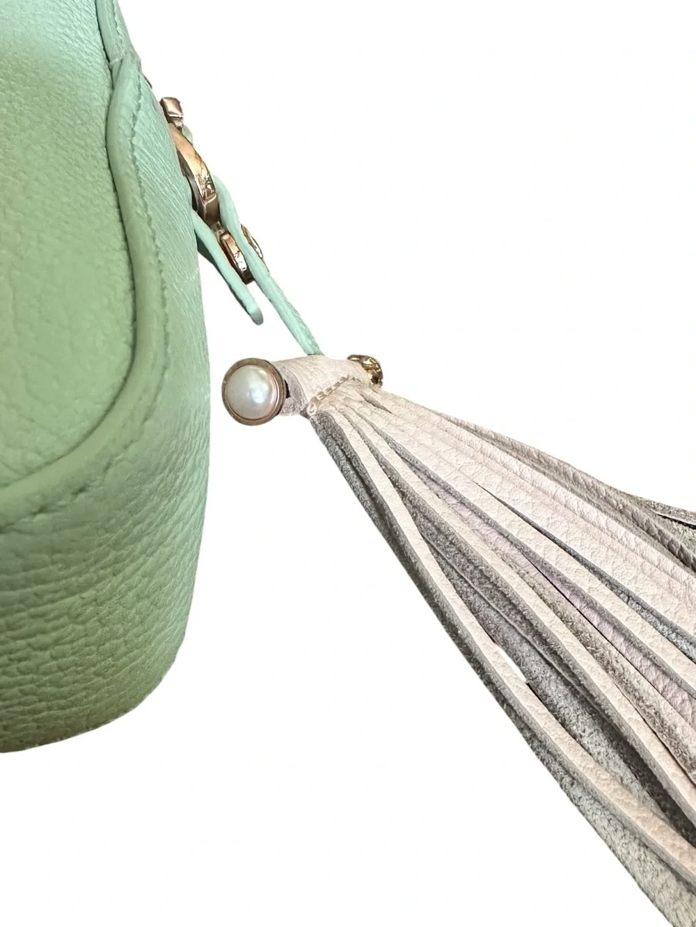 Ted Baker Mint Green Leather Camera Crossbody Rose Gold Tassel Bag